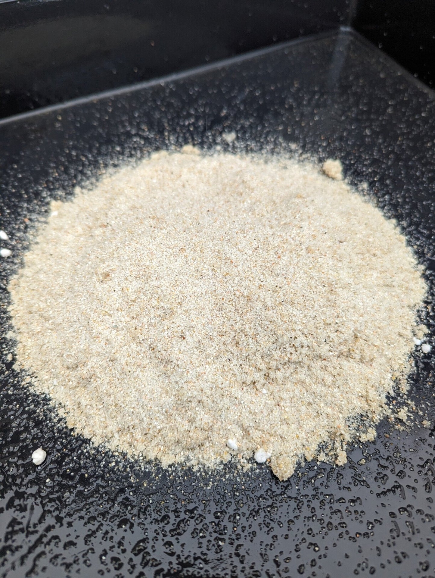 Planta carnívora - Arena de sílice fina - Carniterrace - Comprar en tienda online