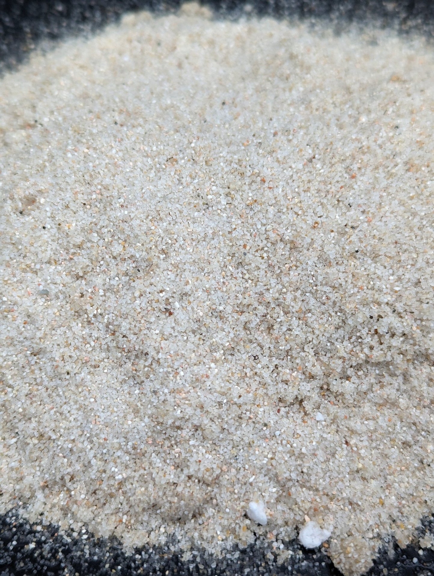 Planta carnívora - Arena de sílice fina - Carniterrace - Comprar en tienda online