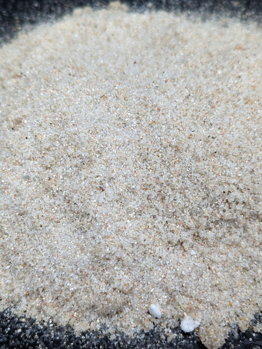 Planta carnívora - Arena de sílice fina - Carniterrace - Comprar en tienda online