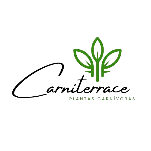 Carniterrace