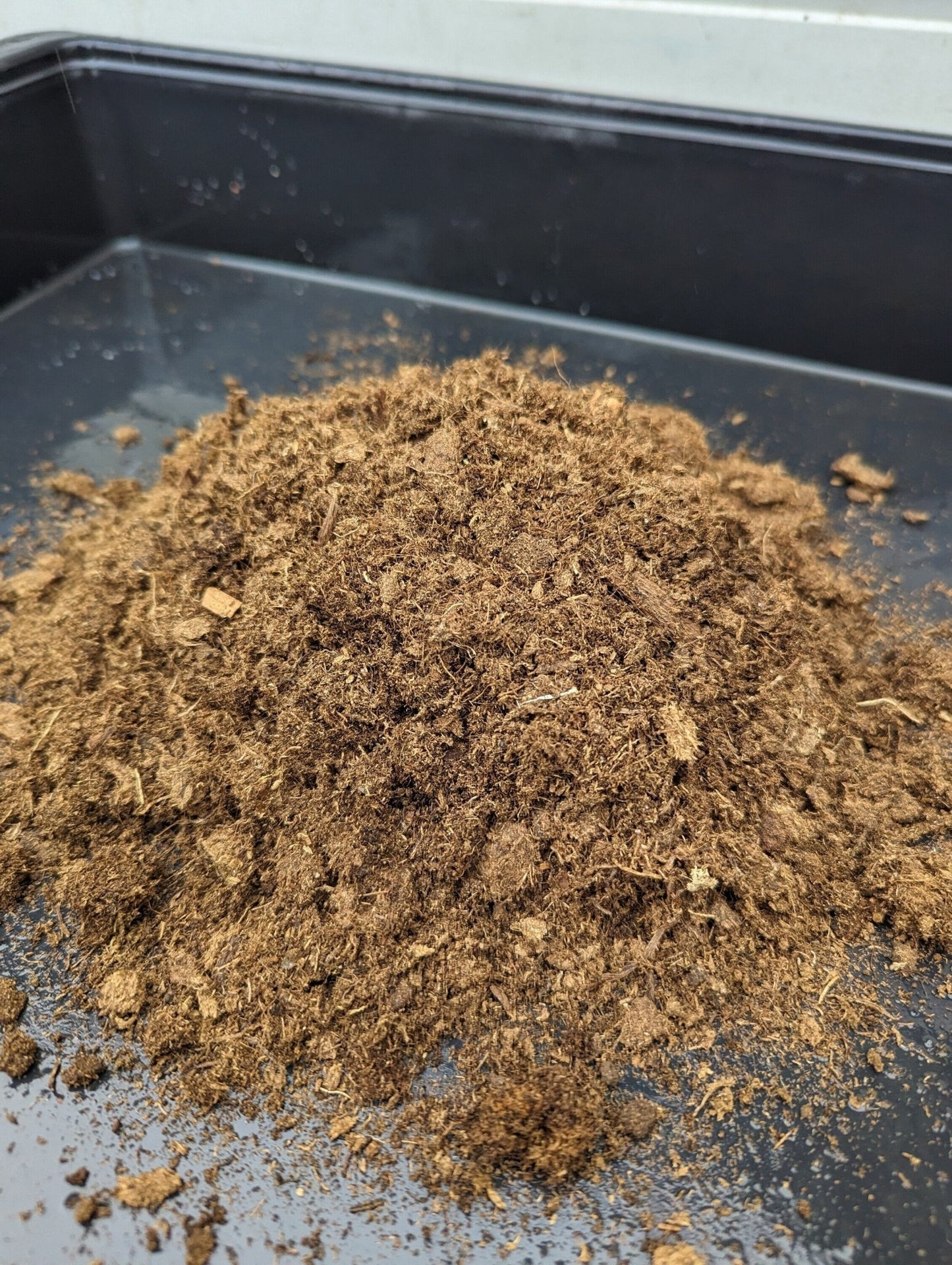 Planta carnívora - Turba rubia - Carniterrace - Comprar en tienda online