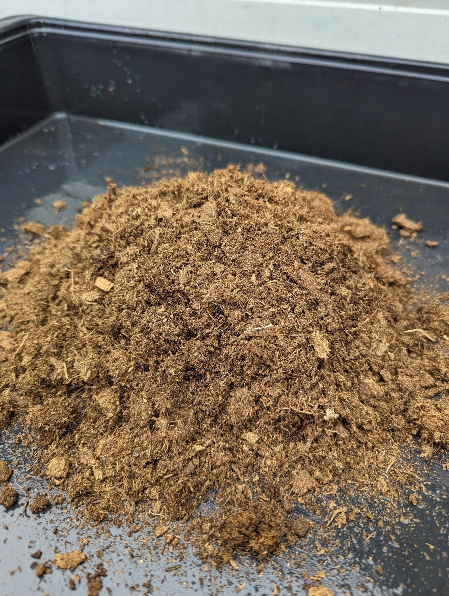 Planta carnívora - Turba rubia - Carniterrace - Comprar en tienda online